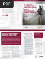 CRISC Brochure