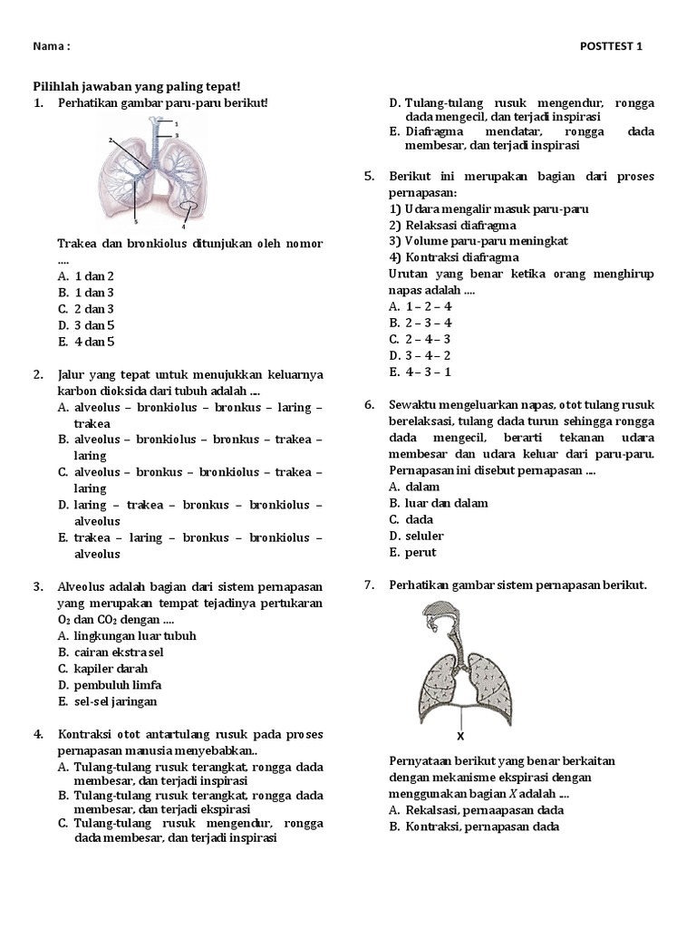 Soal Sistem Pernapasan (Respirasi) Kelas 11 PDF