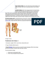 Ischial Gia