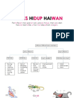 Sains Tahun 4 - Proses Hidup Haiwan 2