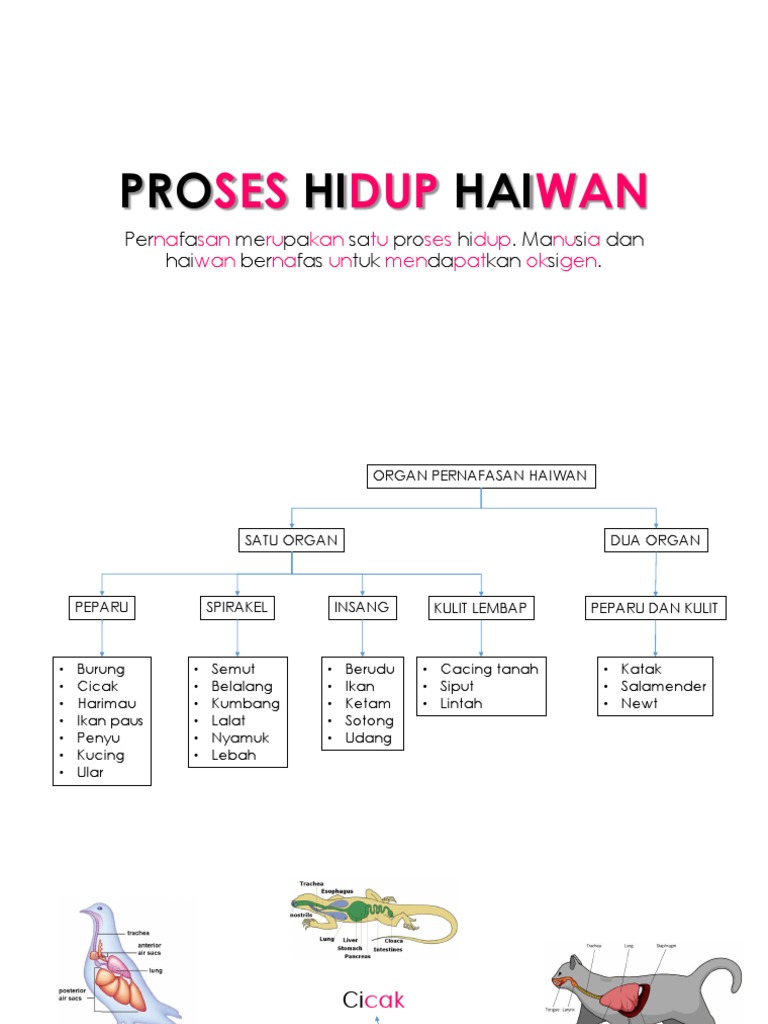 Sains Tahun 4 Proses Hidup Haiwan 2 Pdf