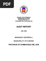 Audit Report: Province of Zamboanga Del Sur