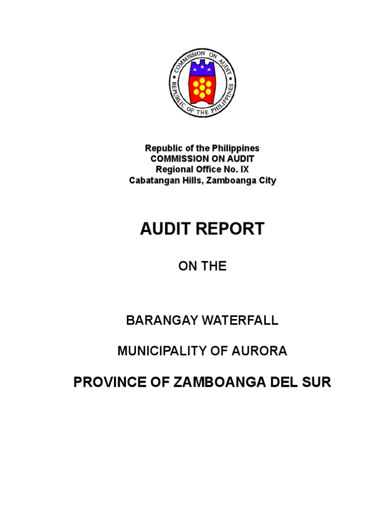 Audit Report on Aurora Barangay Waterfall | PDF
