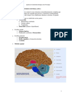 Apuntes Psicologia