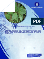 BCCS Herbal Plants Collections.pdf