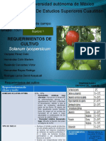 Requerimientos-del-cultivo (1).pptx