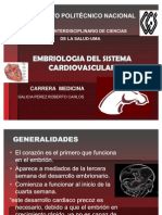 Embrio de Cardiovascular