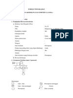 Format Pengkajian Lansia