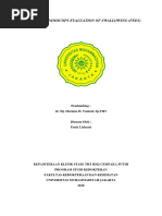 Download Fiberoptic Endoscopy Evaluation of Swallowing Fania Drmariana by fanialiahsani SN371342392 doc pdf