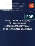 Guia Mobilidades Obstetric As Tercer Nivel P1