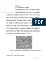 Oil Emulsions.pdf