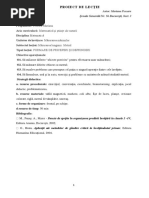 1 Proiect De Lectie Cls Ii A Matematica I Docx