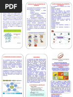 TRIPTICO-Prevenc Accid Lab