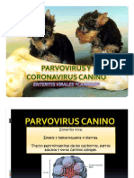 Parvovirus y Coronavirus