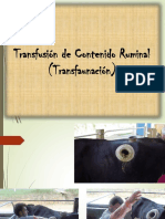 Transfaunación Ruminal 