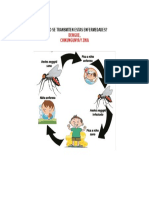 Cadena Epidemiologica de Los 3 Virus