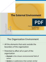 S4P The External Environment.pptx