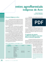 Agentes_Agrofloretais_Acre[1].pdf