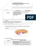 ANATOMIA.doc