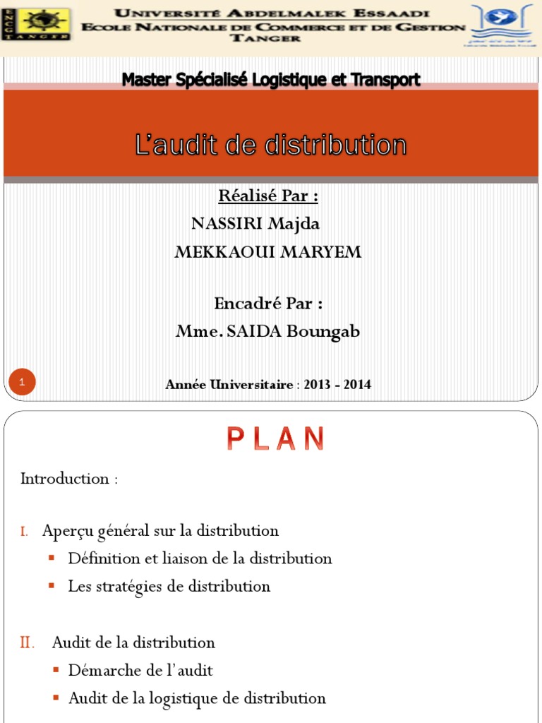 Audit de Distribution | PDF | Distribution (Affaires) | Sodles