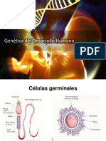 Genetica Del Desarrollo Huamano UPSJB 2017