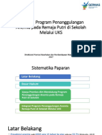 Integrasi Program Penanggulangan Anemia Rematri - Dit Promkes