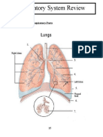 15 16 17 Respiratory Test Review