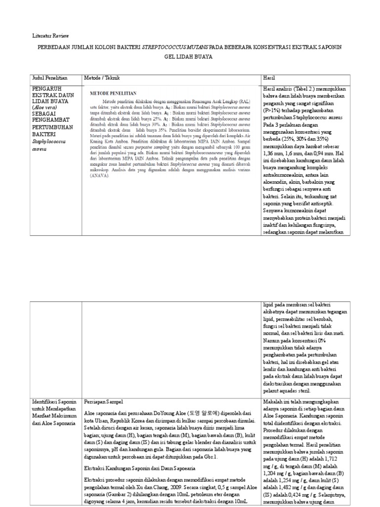 Literatur Review2