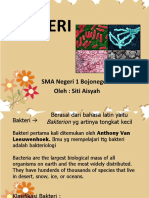 Bakteri: SMA Negeri 1 Bojonegoro Oleh: Siti Aisyah