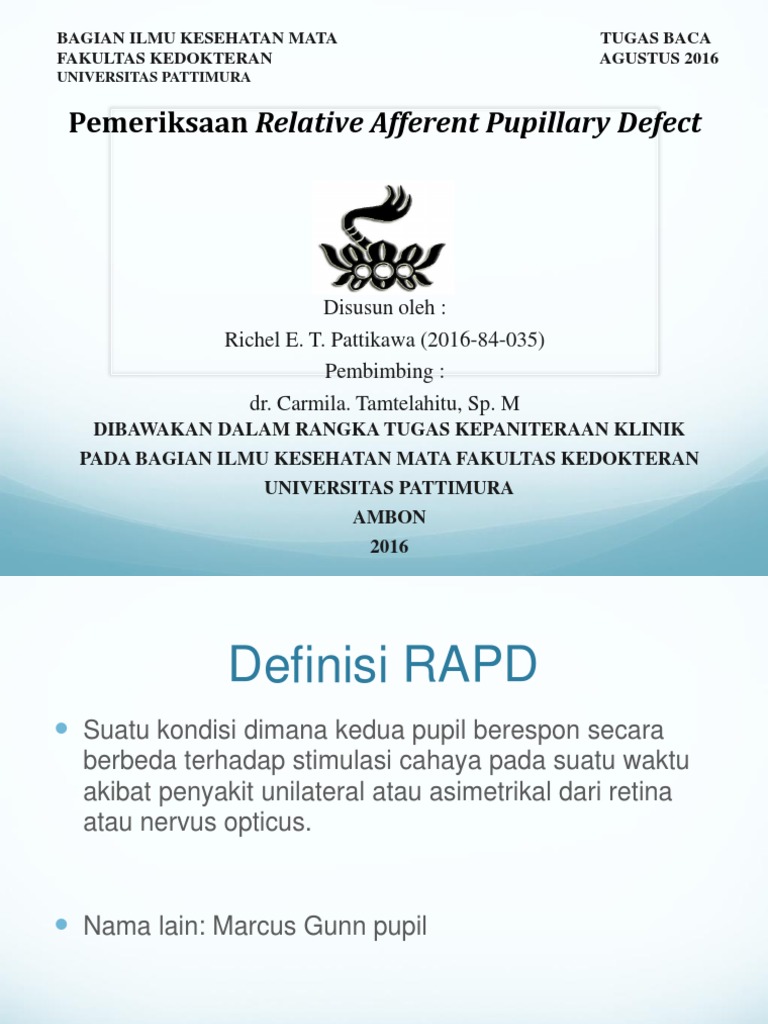 Understanding Relative Afferent Pupillary Defect | PDF