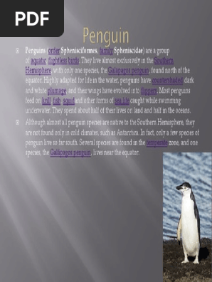 Penguin