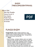 ENZIM (Bag.2)