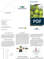 F-Cultivo Coqueiro Anao PDF