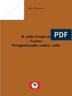 SOLO_Perguntando_sobre_solo_e_raizes.pdf