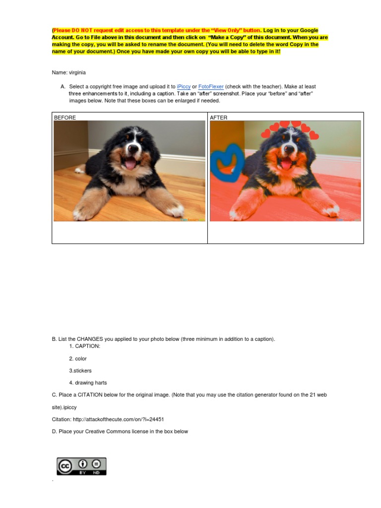 Photo Editing Project Instructions | PDF | Art | Technology & Engineering
