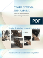 Anatomía Sistema Respiratorio