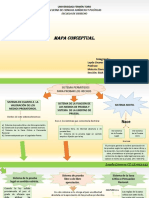 Mapa Conceptual ParticipaciÃ N