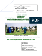 Mémoire Sur l'Évolution de La Filière Viande Bovine Au Sénégal