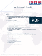 Job Description - Directeur Commercial - Yaoundï¿ PDF