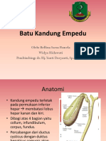 Batu Kandung Empedu Bella Widya