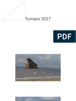 Tumaco 2017