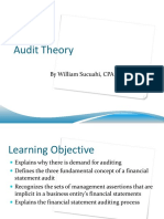 Audit Theory