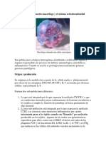 El Sistema Reticuloendotelial Monocitos y Macrofagos Adette-110918080142-Phpapp01