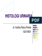 HISTOLOGI URINARIA [Compatibility Mode].pdf
