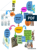 Mapa Mental Período Clásico