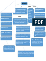 Mapa Conceptual