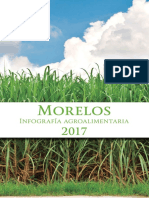 Morelos Infografia Agroalimentaria 2017