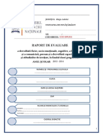 Raport_de_evaluare_CP.pdf