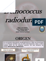 Deinococcus Radiodurans