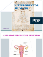 articles-23028_recurso_ppt.pptx